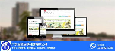 石碣鎮(zhèn)網站建設首選 百創(chuàng)互聯(lián)，專業(yè)計算機軟硬件技術開發(fā)服務